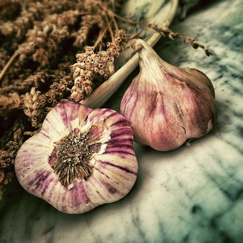 Fresh Harvest Flavors